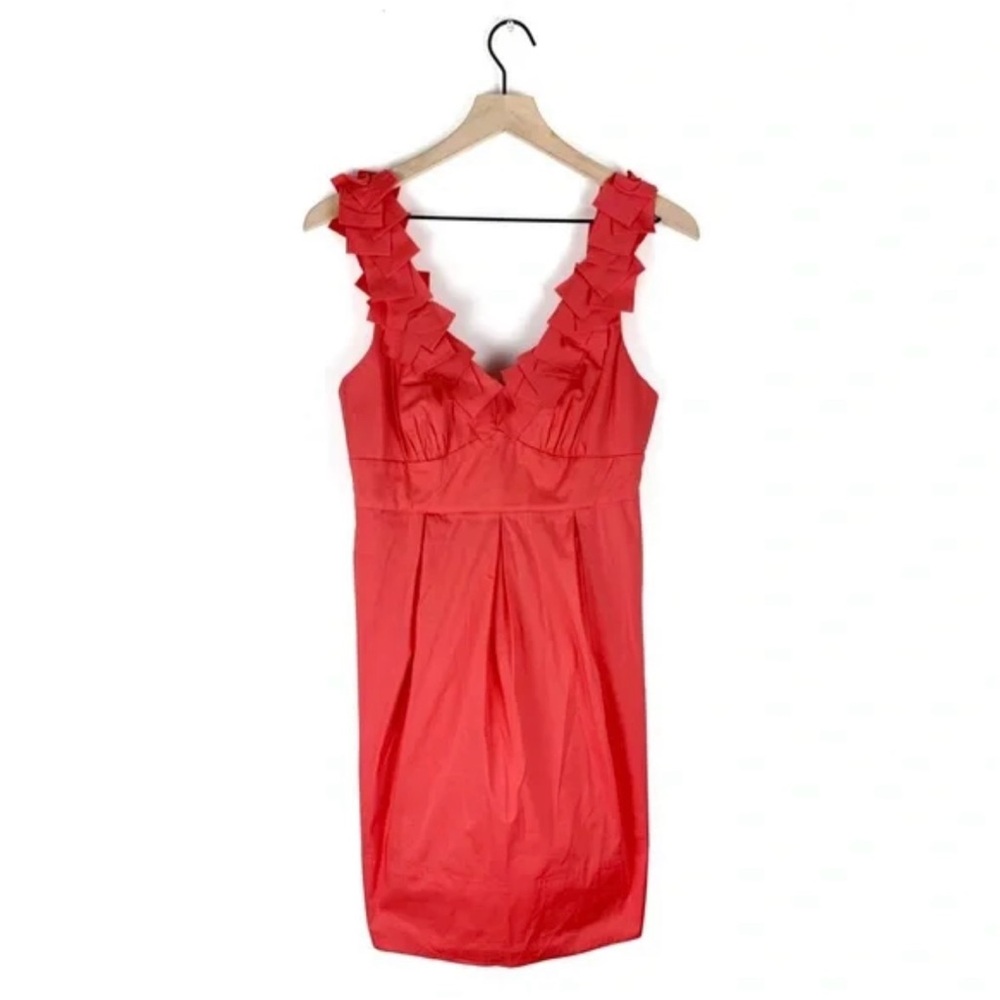 BCBG Ruffle Sleeve Dress